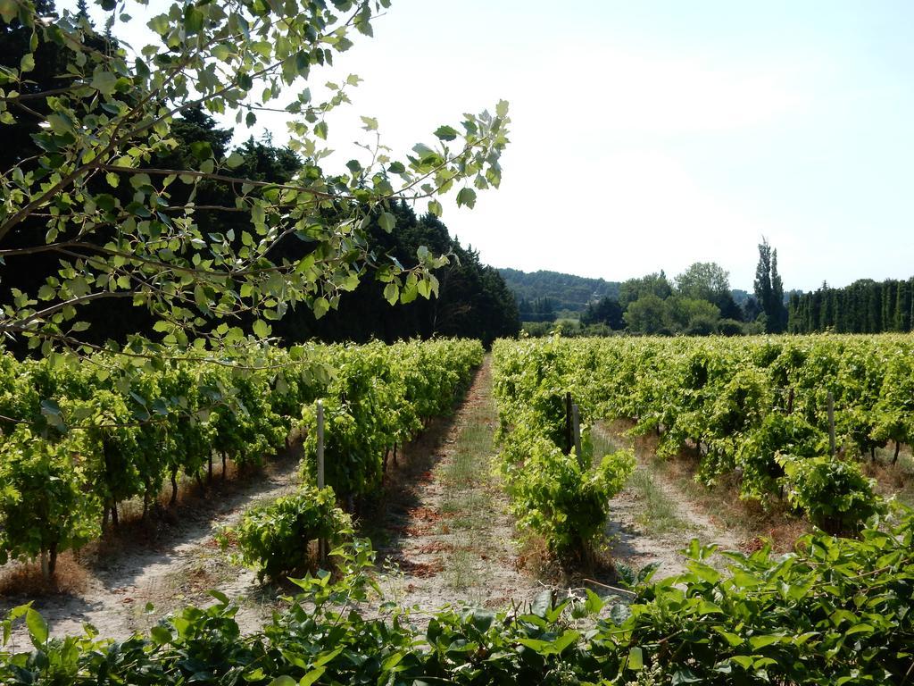 Domaine De Blanche Fleur Hotel Châteauneuf-de-Gadagne Kültér fotó