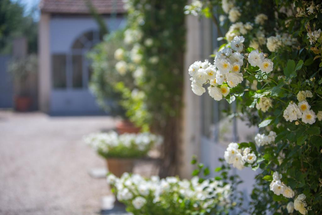 Domaine De Blanche Fleur Hotel Châteauneuf-de-Gadagne Kültér fotó